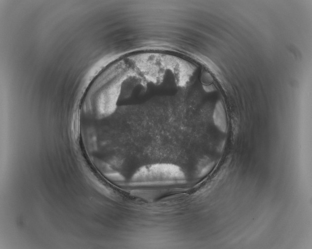 X0000113181371200910021534