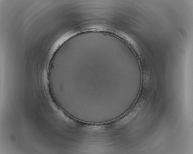 X0000113181373200910021534