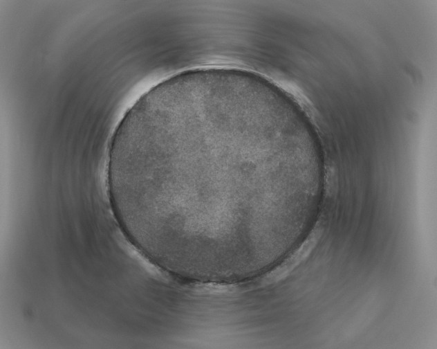 X0000113181374200910021534