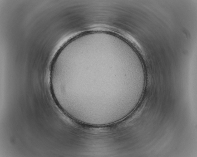 X0000113181376200910021534