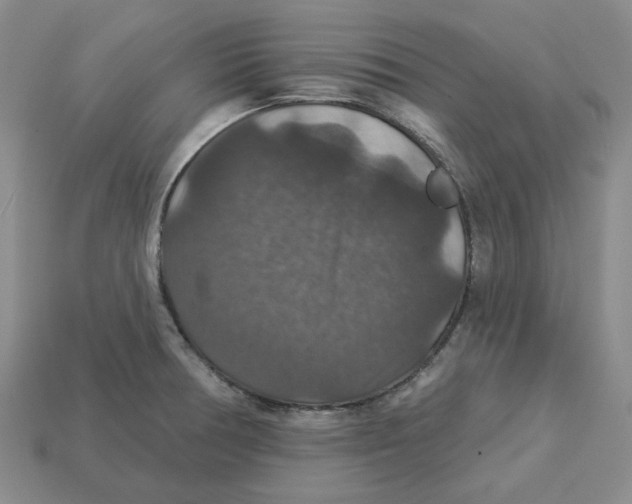 X0000113181378200910021534