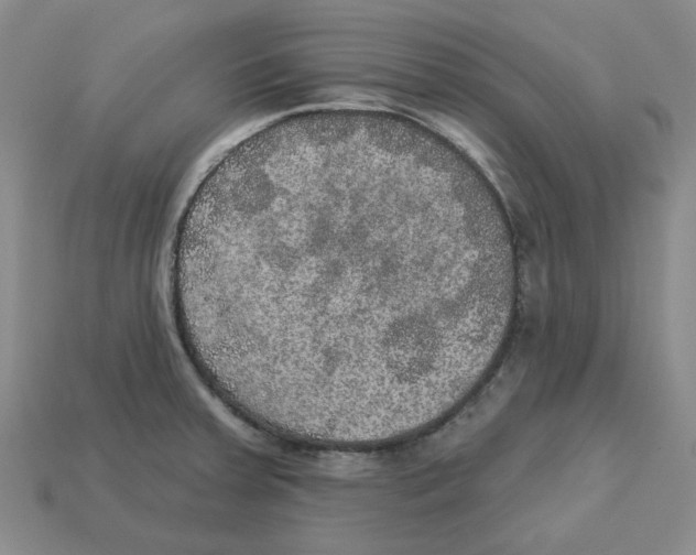 X0000113181379200910021534