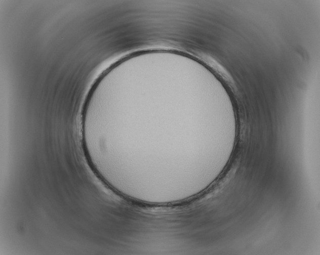 X0000113181380200910021534