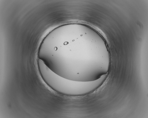 X0000113181381200910021534
