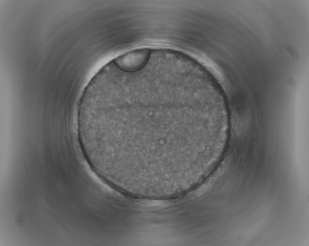 X0000113181382200910021534