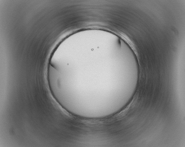 X0000113181384200910021534