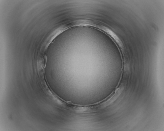 X0000113181385200910021534
