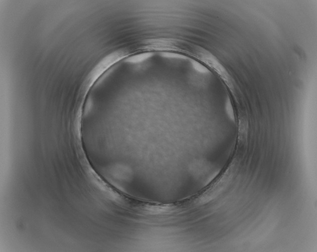 X0000113181386200910021534