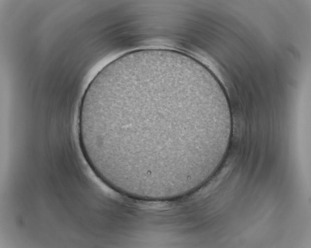 X0000113181387200910021534