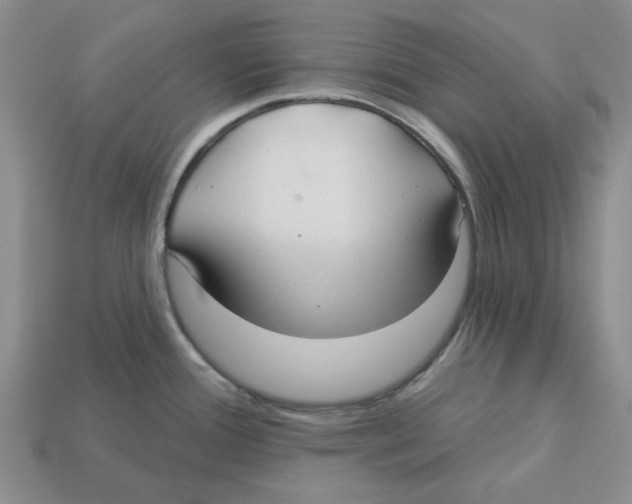 X0000113181388200910021534