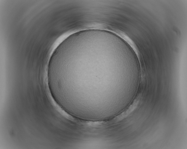 X0000113181389200910021534