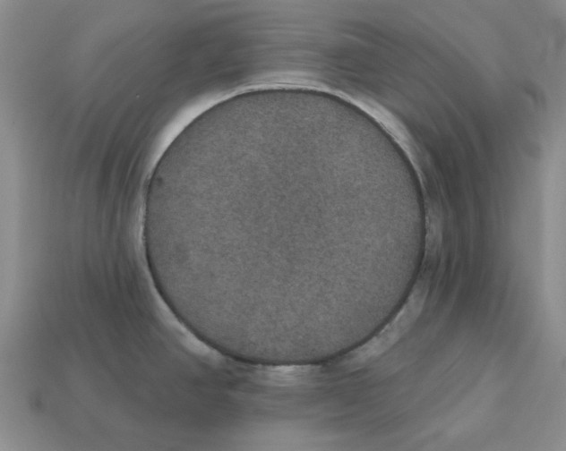 X0000113181390200910021534