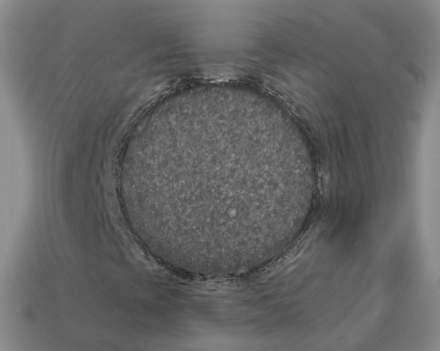 X0000113181393200910021533