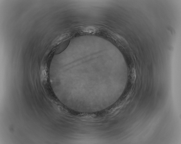X0000113181394200910021533