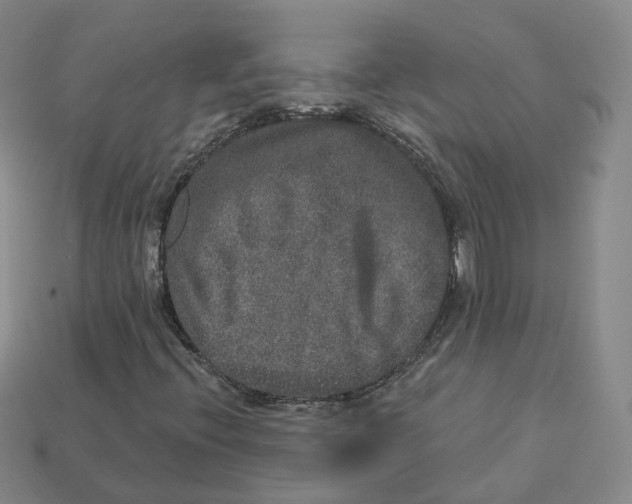 X0000113181396200910021533