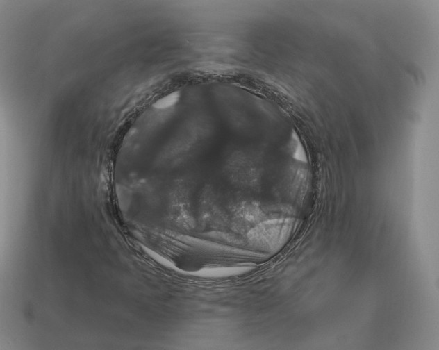 X0000113181397200910021533