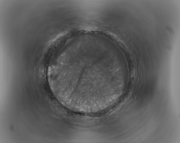 X0000113181398200910021533