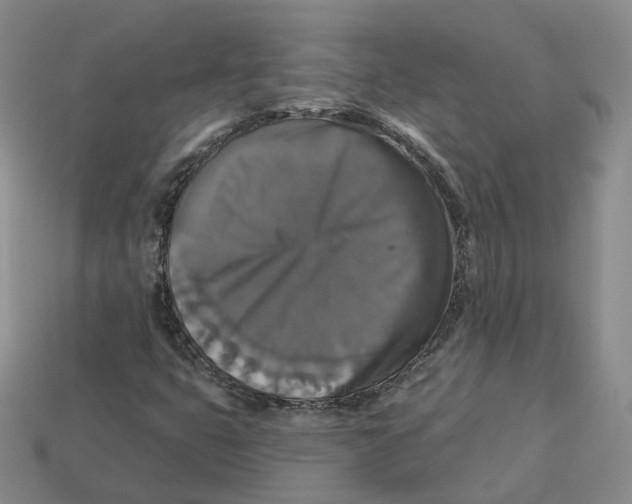 X0000113181399200910021533