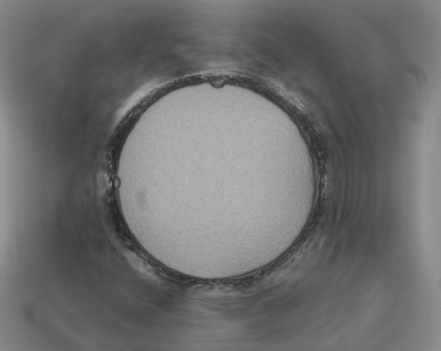 X0000113181400200910021533