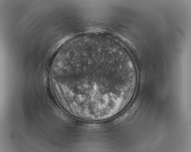 X0000113181401200910021533