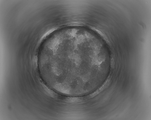 X0000113181402200910021533