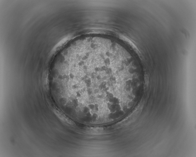 X0000113181403200910021533