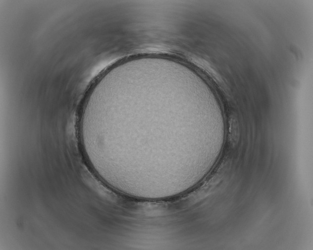 X0000113181404200910021533
