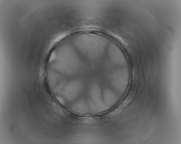 X0000113181405200910021533