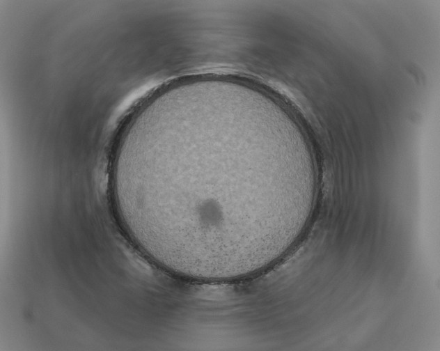 X0000113181406200910021533