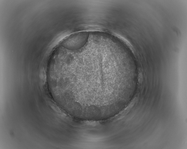 X0000113181407200910021534