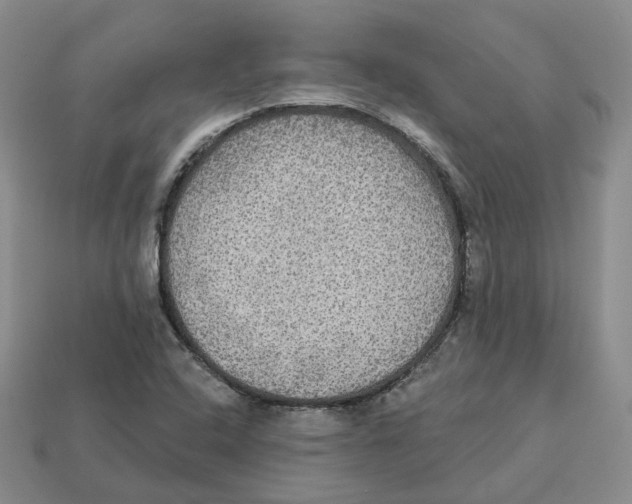 X0000113181408200910021534