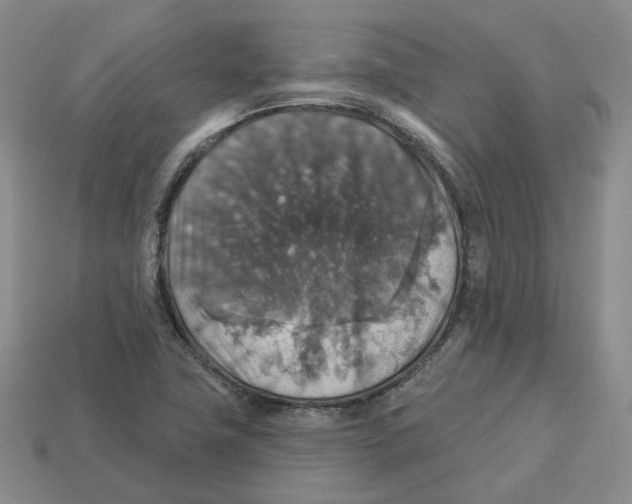 X0000113181411200910021534