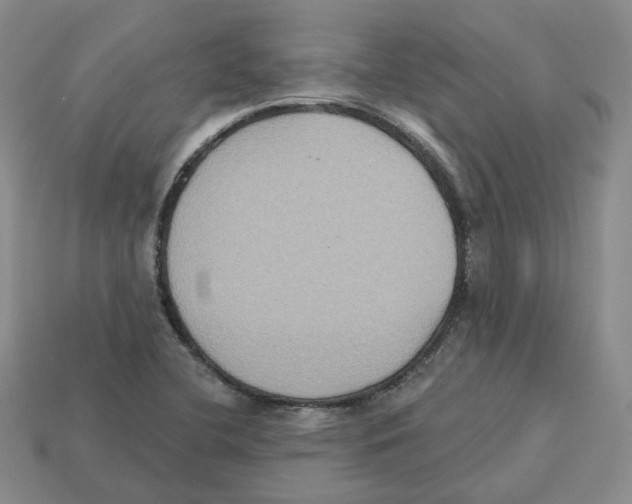 X0000113181412200910021534