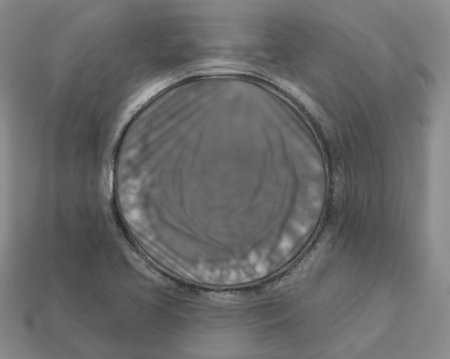 X0000113181413200910021534