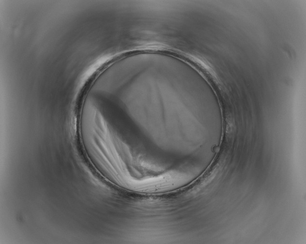 X0000113181414200910021534