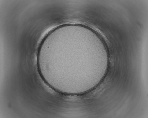 X0000113181416200910021534