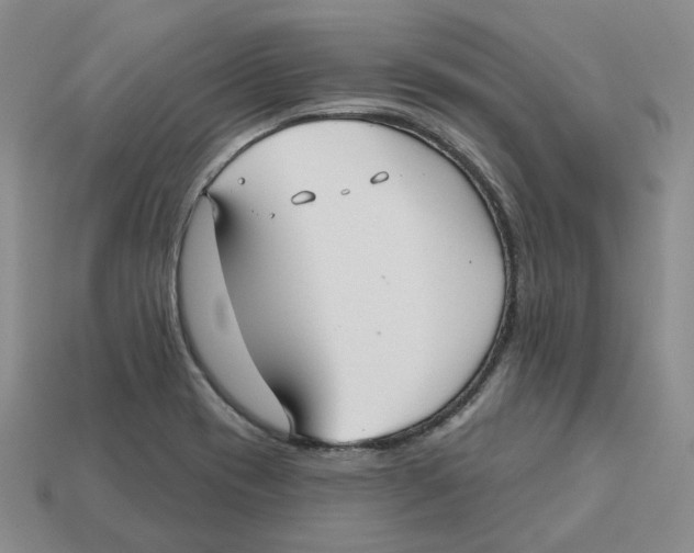 X0000113181417200910021534