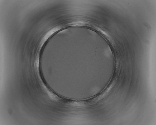 X0000113181418200910021534