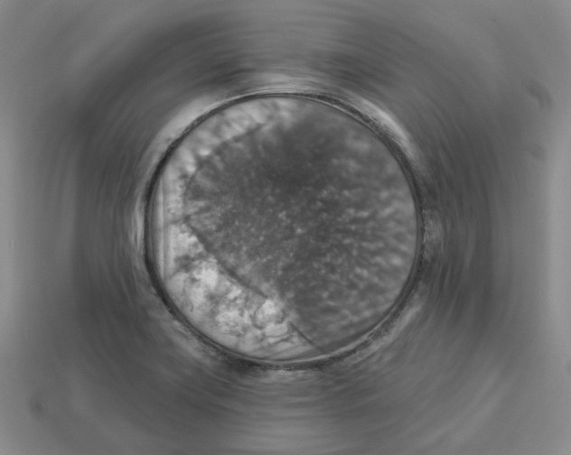X0000113181419200910021534