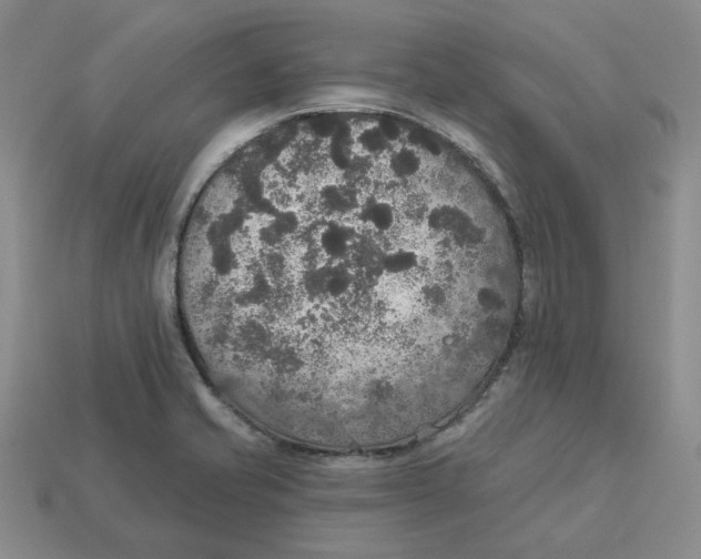 X0000113181421200910021534