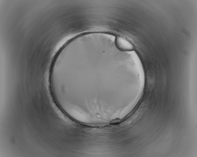 X0000113181422200910021534
