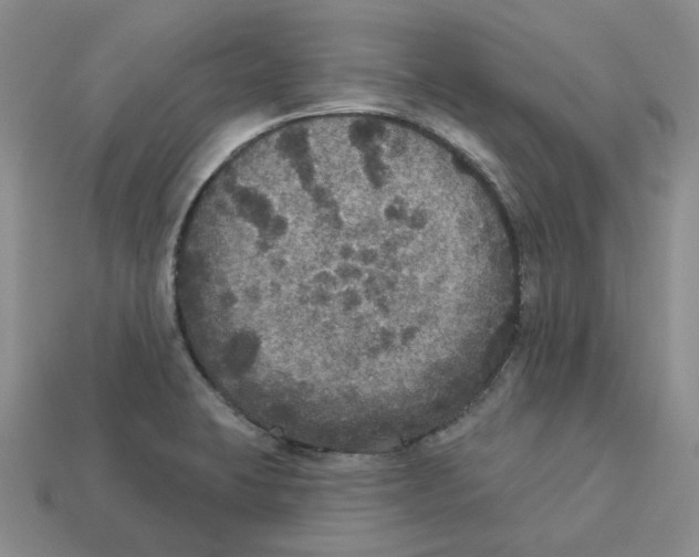X0000113181423200910021534