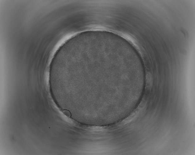 X0000113181424200910021534