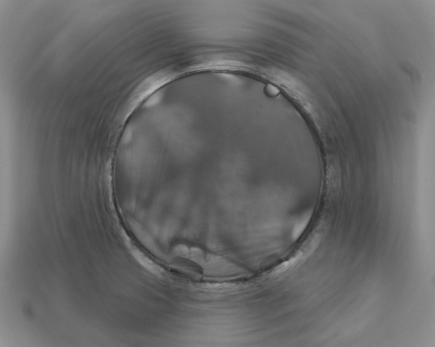 X0000113181425200910021534