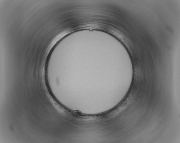 X0000113181426200910021534