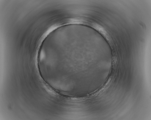 X0000113181427200910021534