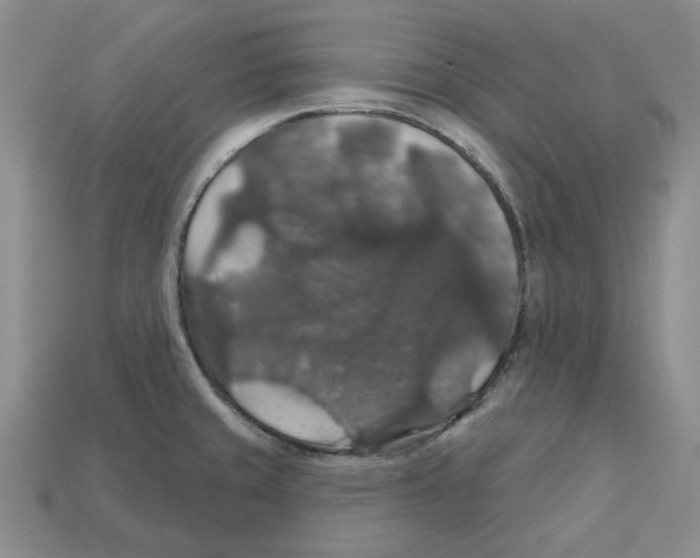X0000113181429200910021534