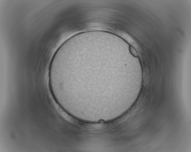 X0000113181431200910021534