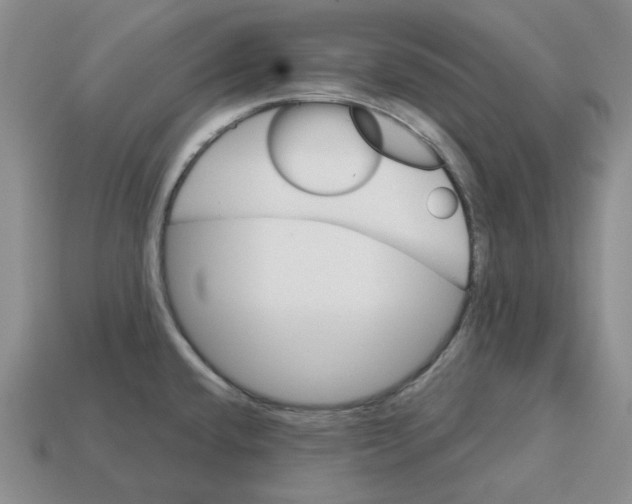 X0000113181432200910021534