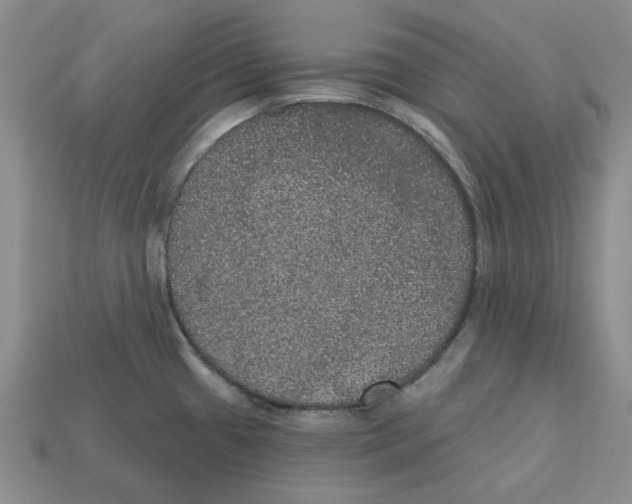 X0000113181433200910021534